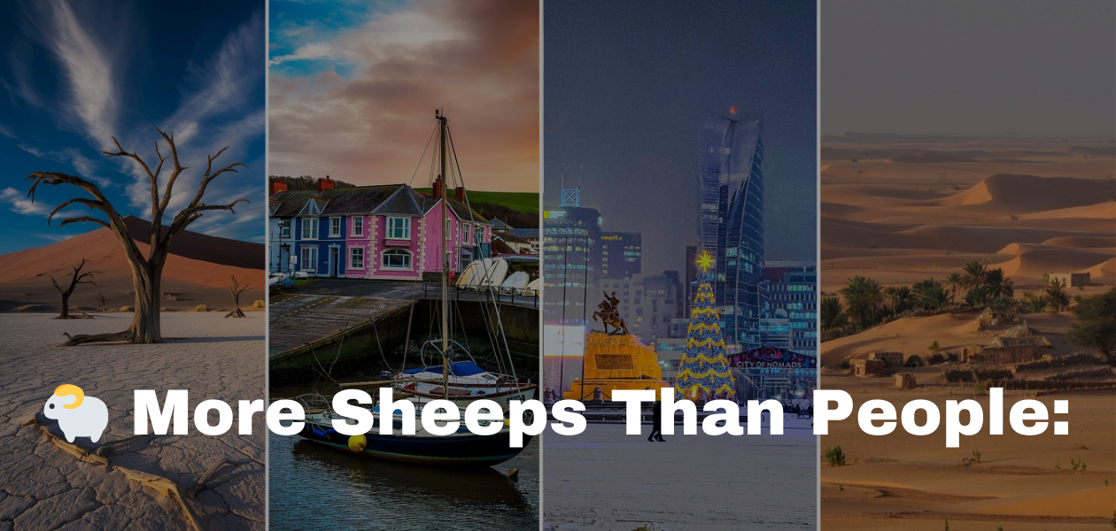 Where Sheep Outnumber People: 9 Surprising Countries (And Why It Matters)
