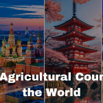 Top Agricultural Countries: Who Feeds the World