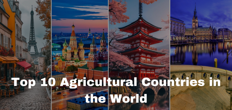 Top Agricultural Countries: Who Feeds the World