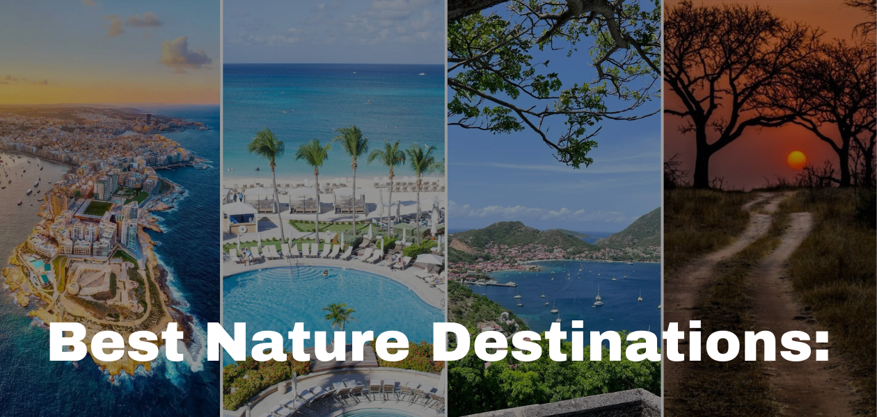 Best Nature Destinations in 2024: Where to Chase the Wild