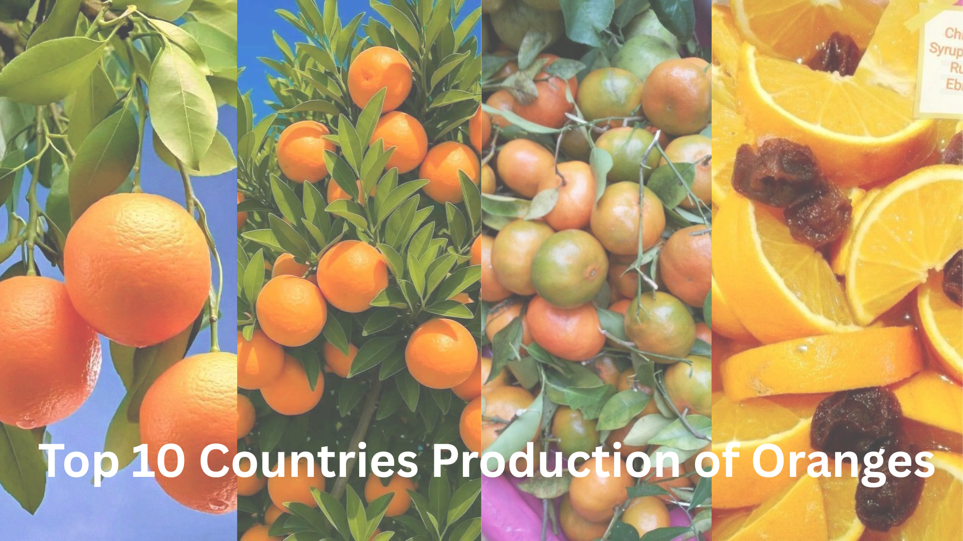 Top 10 Countries for Orange Production...