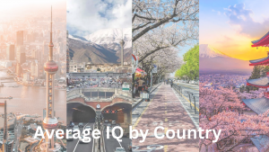 Top 10 Countries with the Highest...
