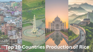Top 10 Countries for Rice Production...