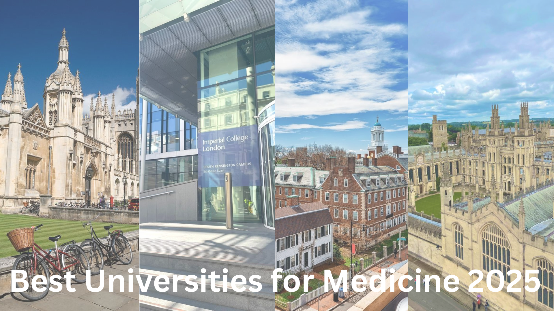 Best Universities for Medicine in 2025