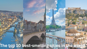 Top 10 Best-Smelling Cities in the...