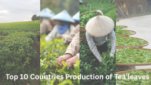 Top 10 Countries in Tea Leaf... Top 10 Countries in Tea Leaf...