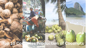 Top 10 Coconut Producing Countries in...